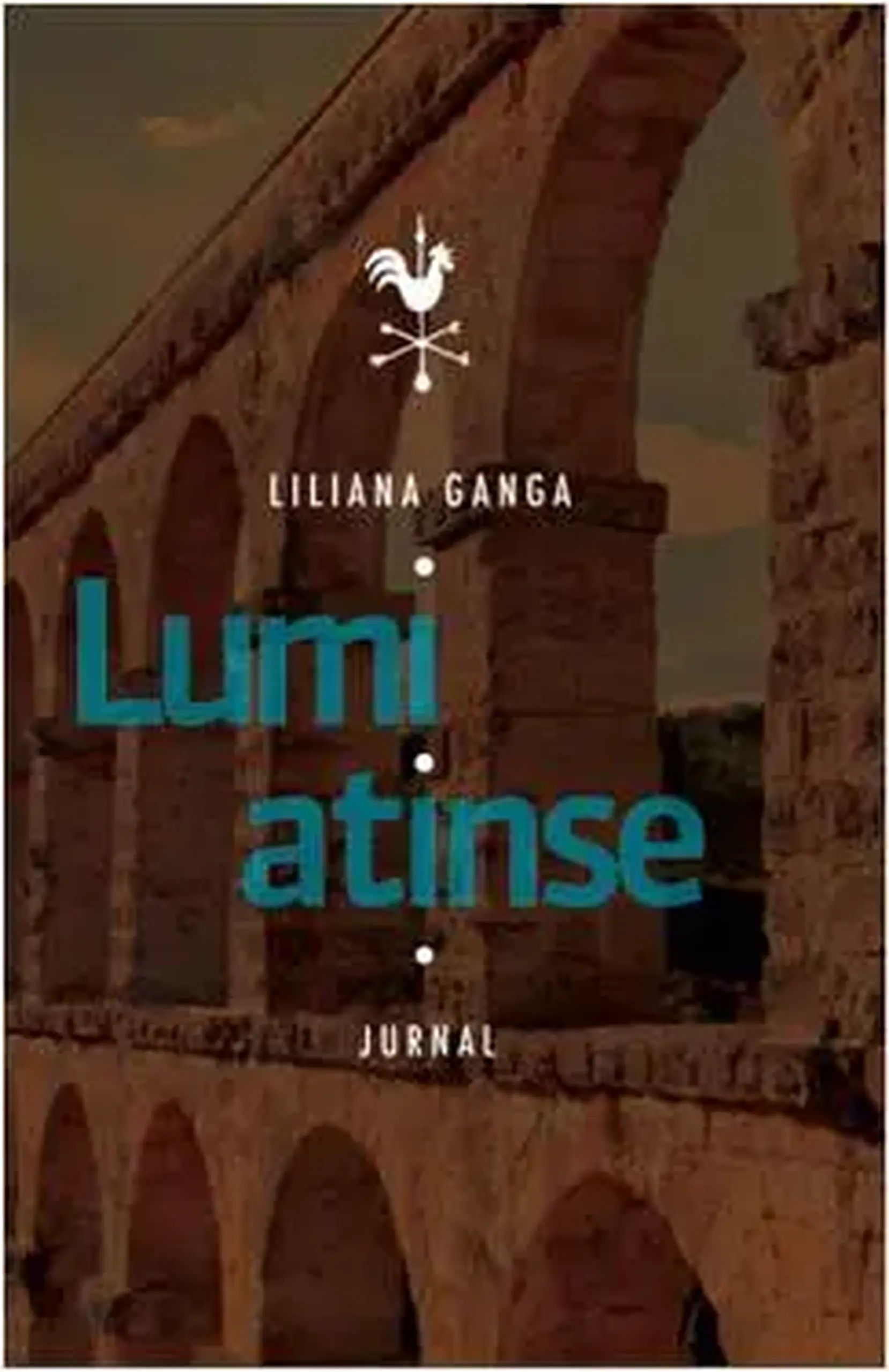 Lumi atinse: jurnal | Lilana Ganga