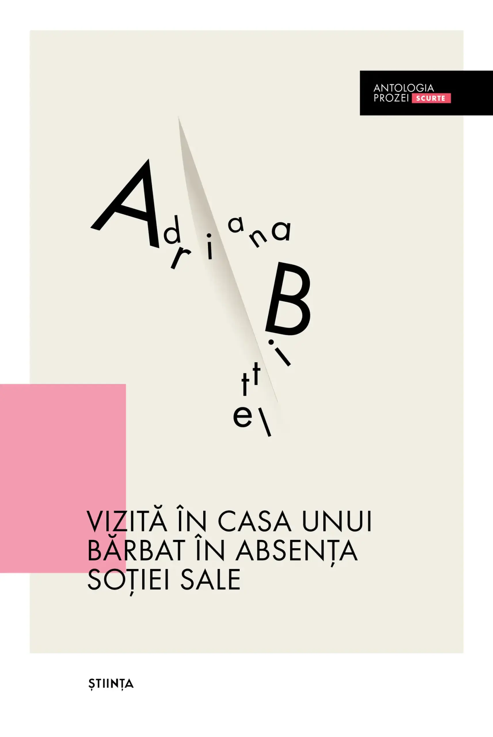 Antologia prozei scurte. Vizita in casa unui barbat in absenta sotiei sale | Adriana Bittel