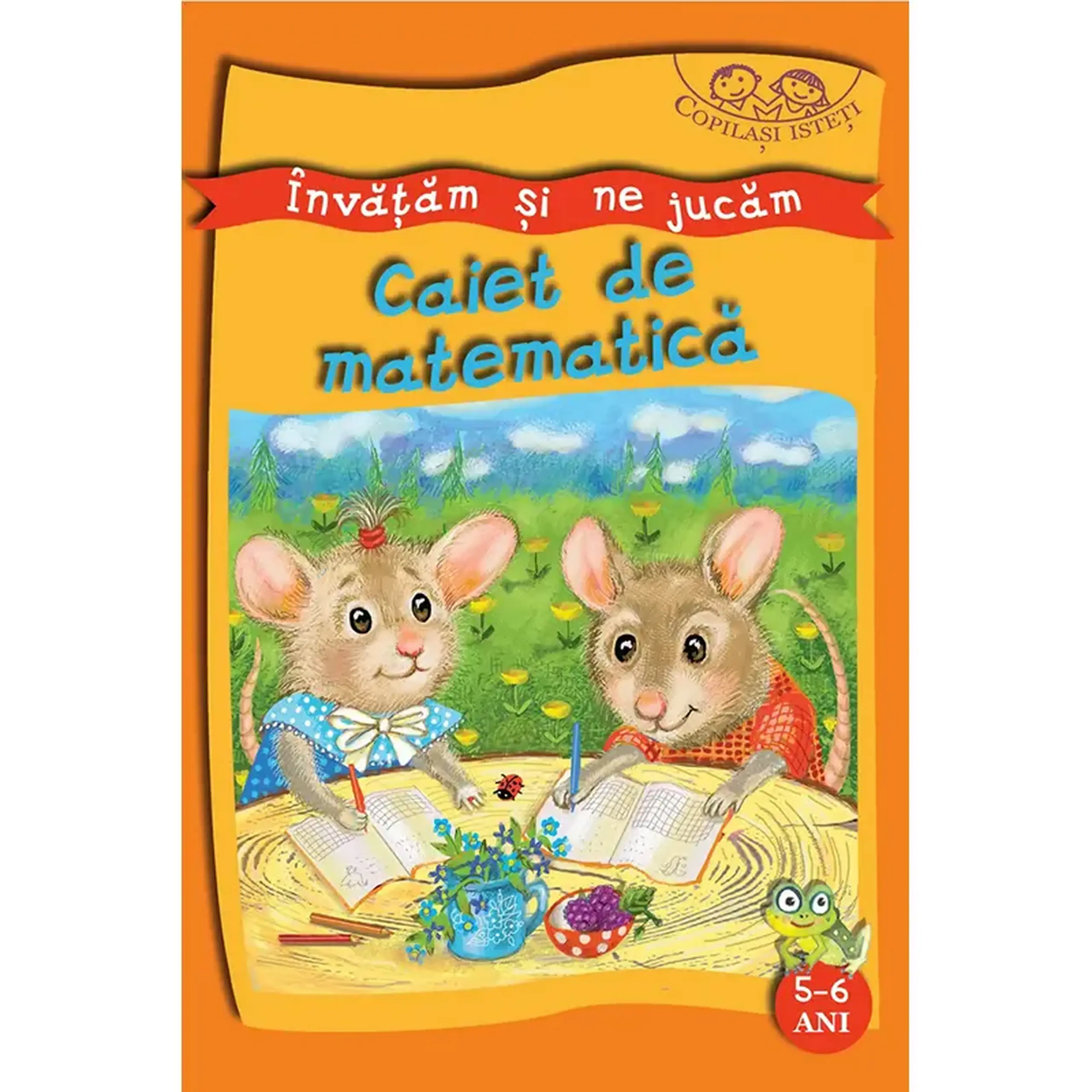 Invatam si ne jucam. Caiet de matematica 5-6 ani | Mariana Codreanu