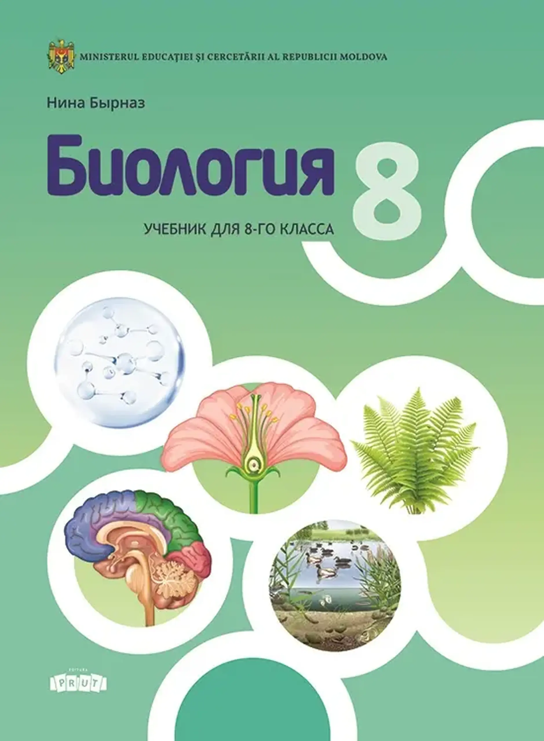 Биология 8 кл. Учебник | Нина Бырназ