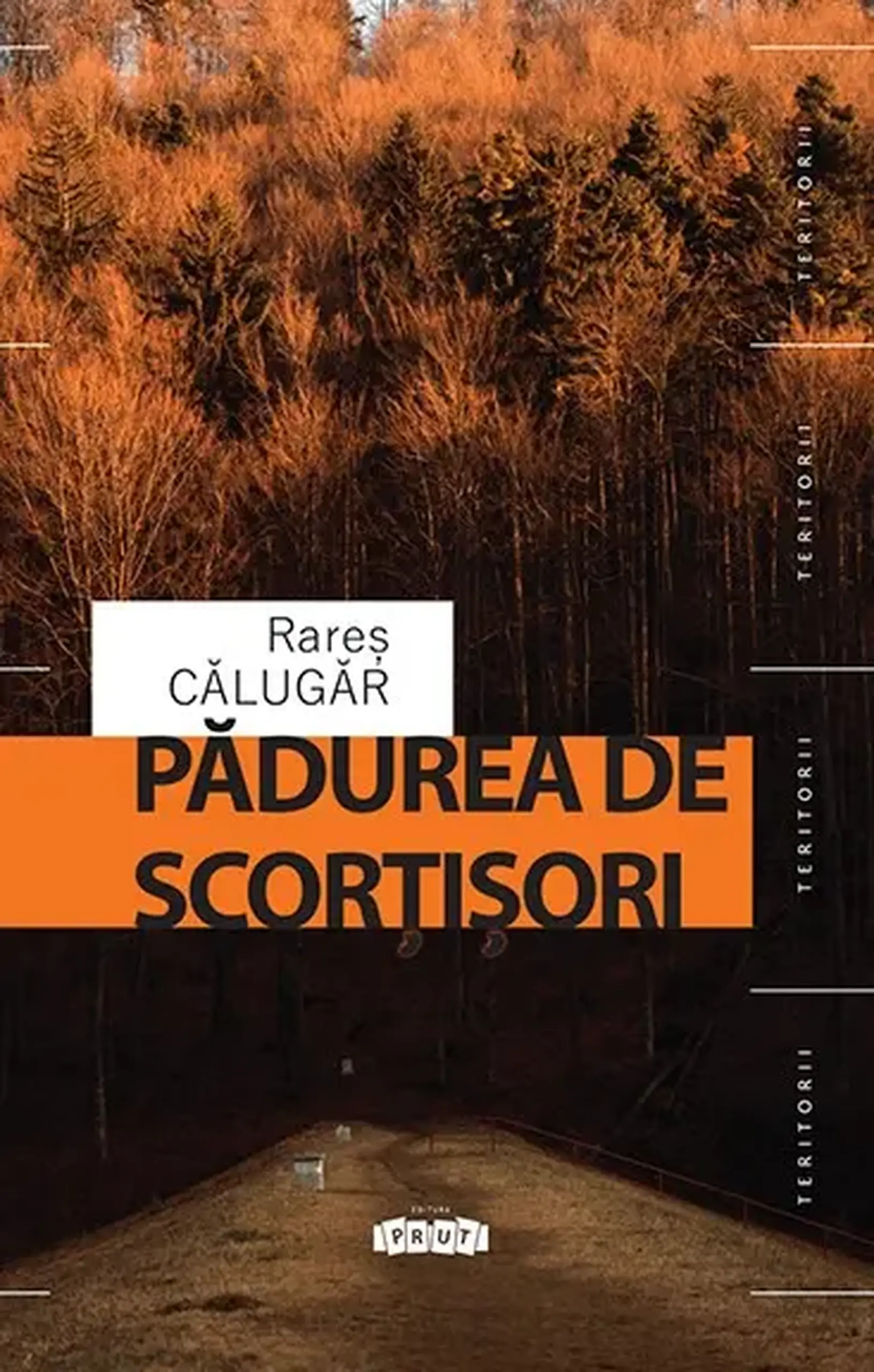 Padurea de scortisori | Rares Calugar