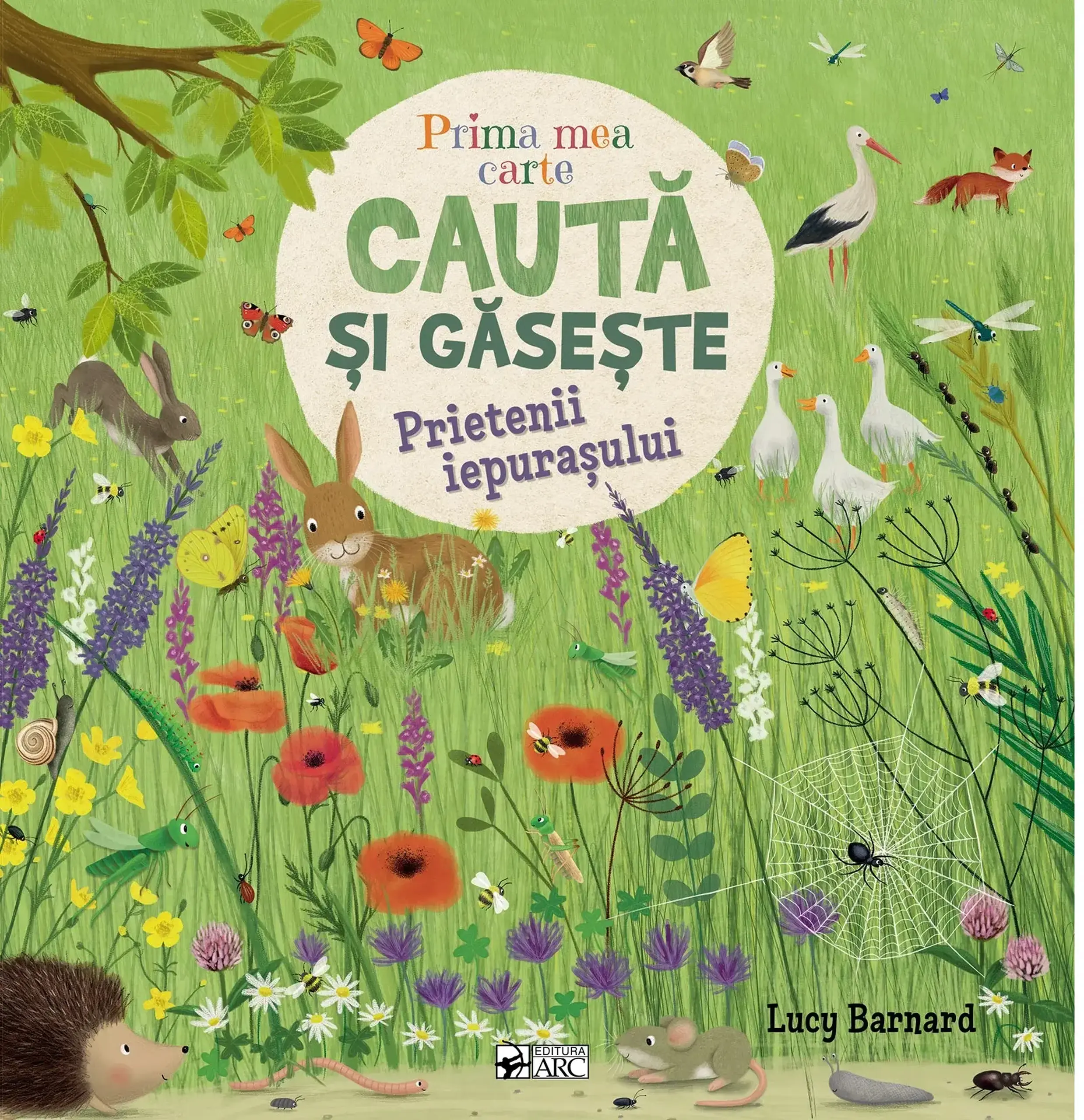 Prima mea carte cauta si gaseste. Prietenii iepurasului