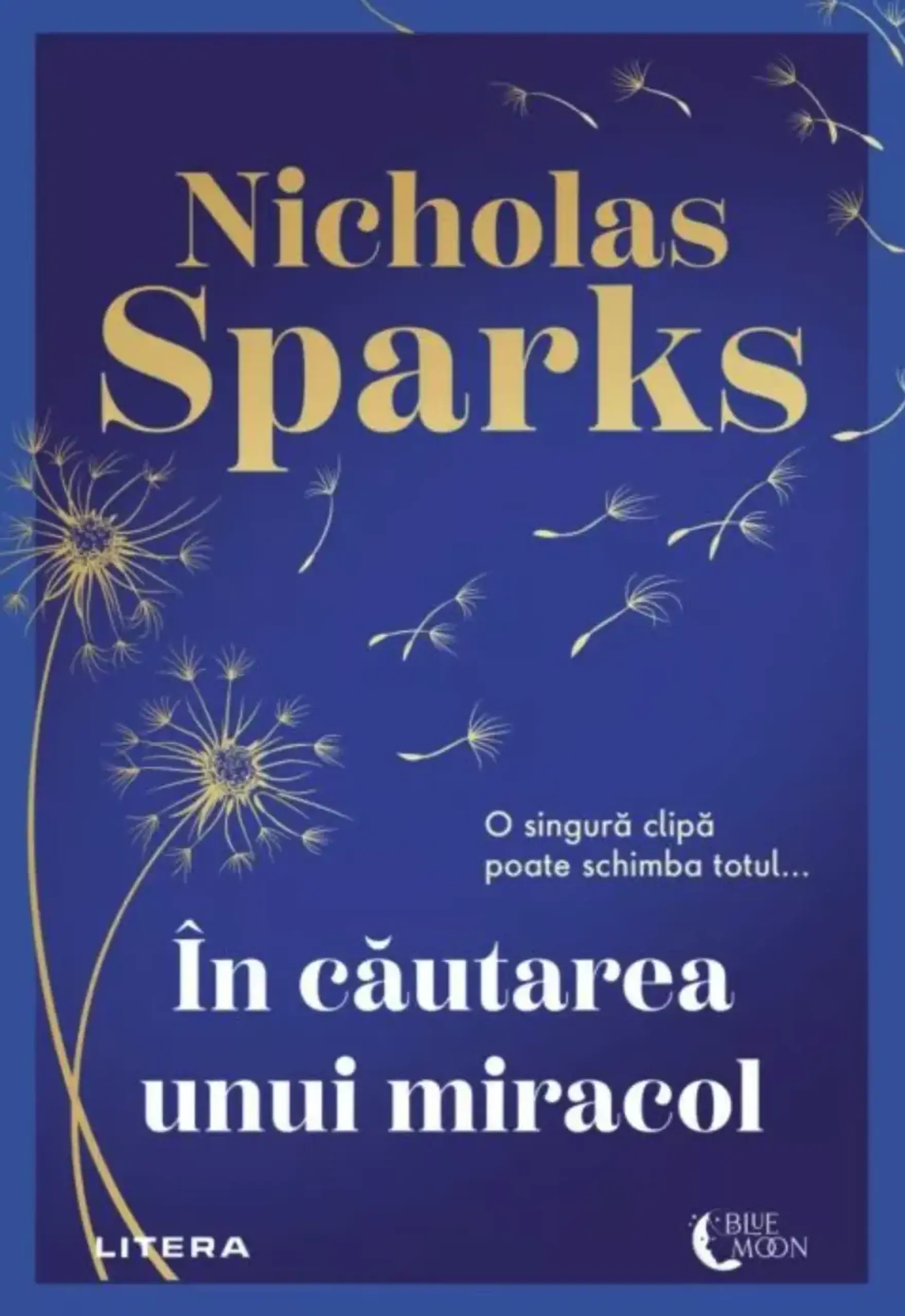 In cautarea unui miracol | Nicholas Sparks