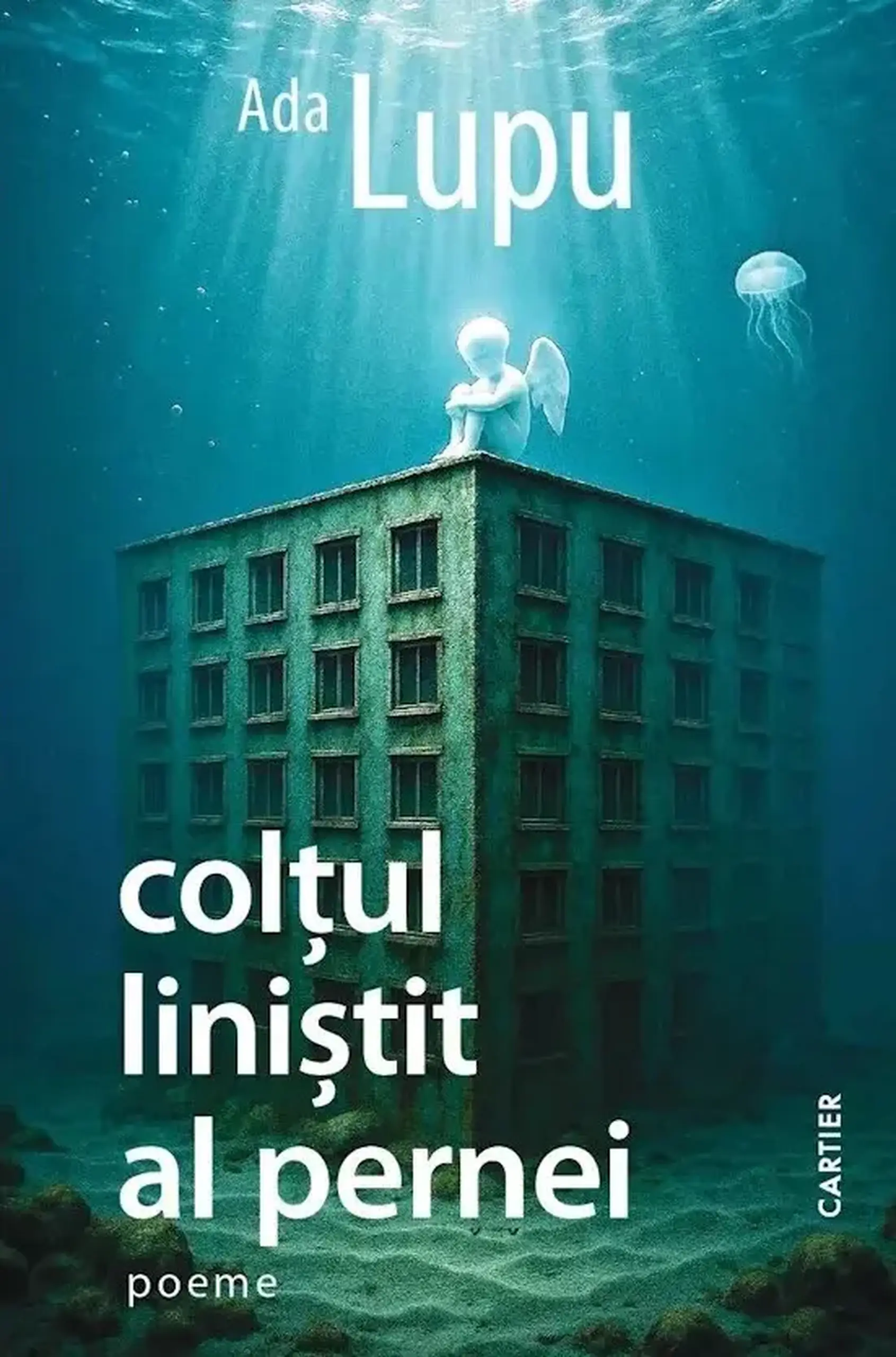 Coltul linistit al pernei | Ana Lupu
