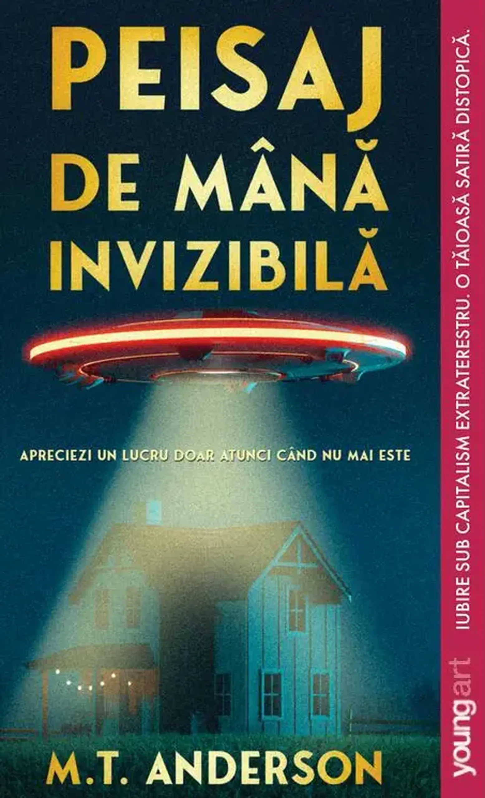 Peisaj de mana invizibila | Matthew Tobin Anderson