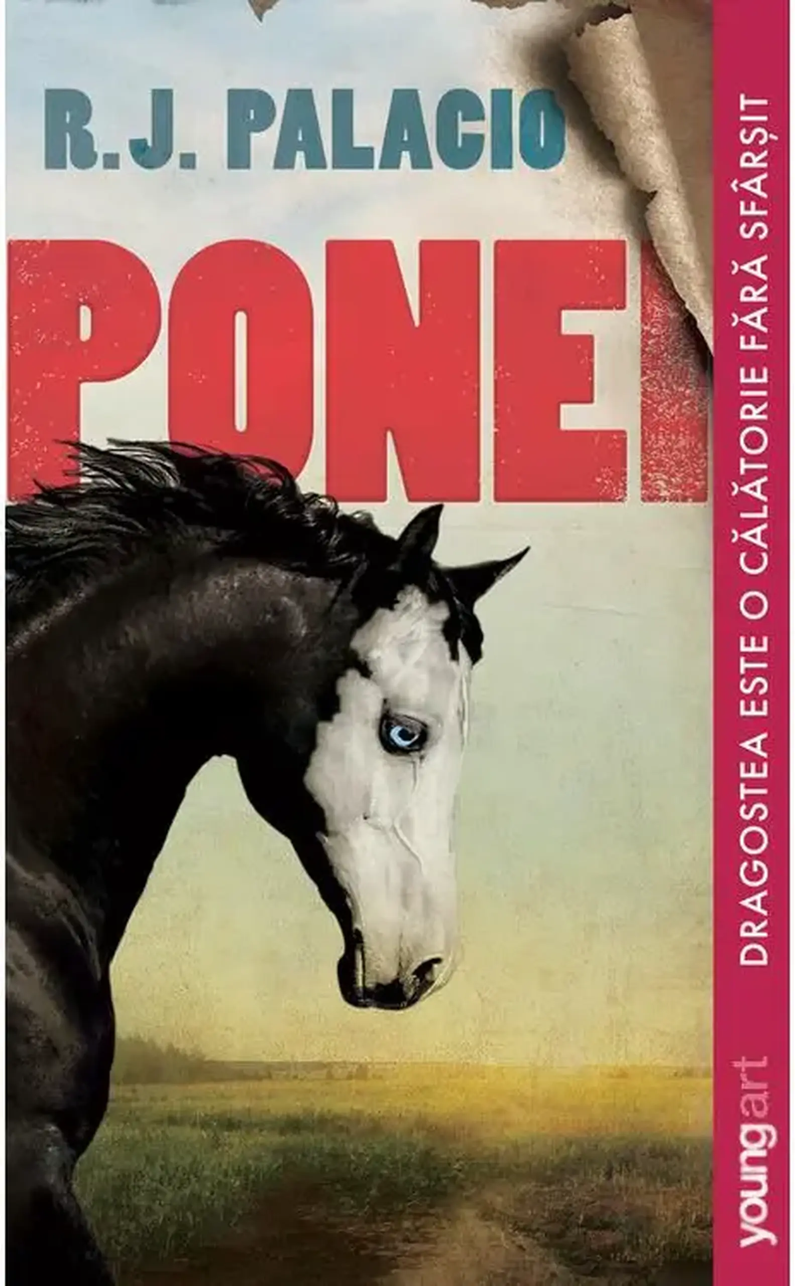 Ponei | R.J. Palacio