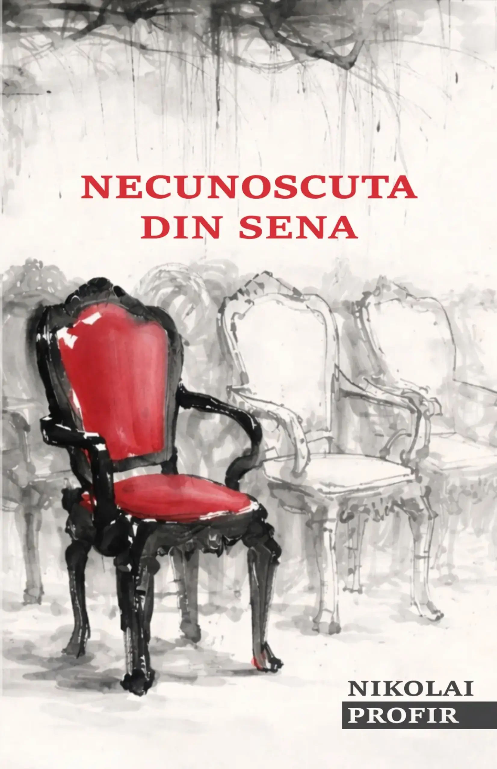 Necunoscuta din Sena | Nikolai Profir