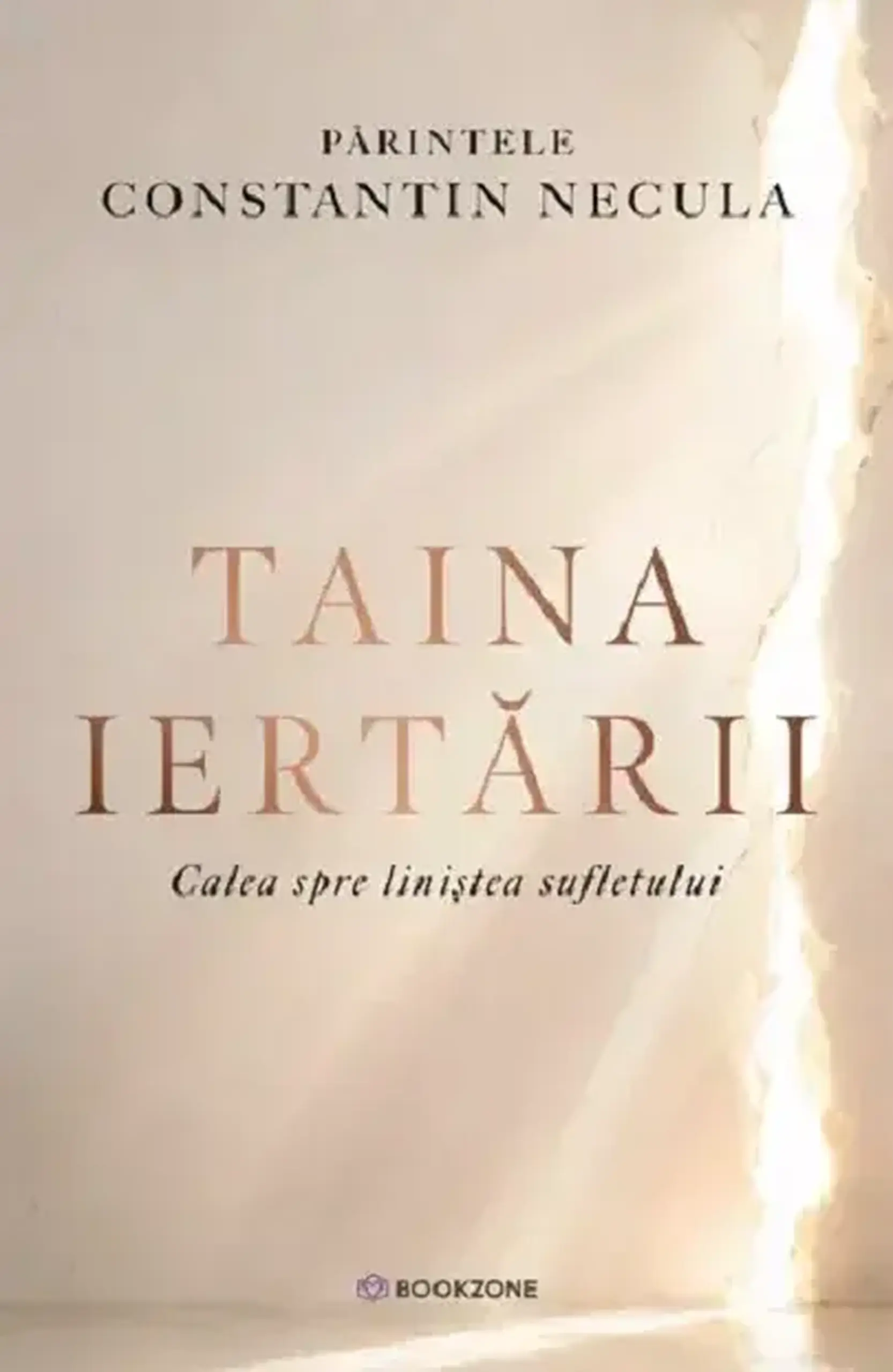 Taina iertarii | Constantin Necula