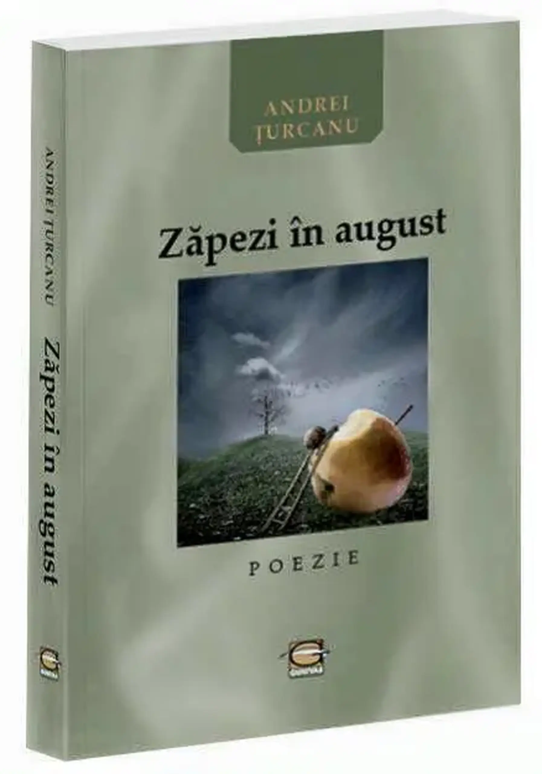 Zapezi in august | Andrei Turcanu