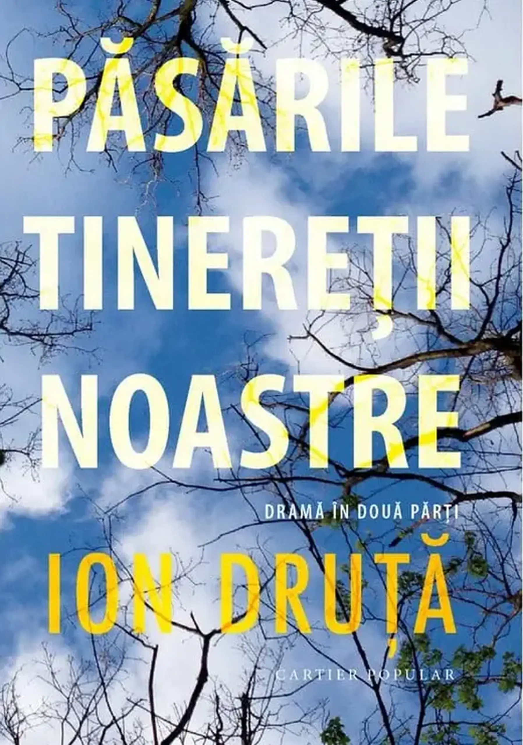 Pasarile tineretii noastre | Ion Druta