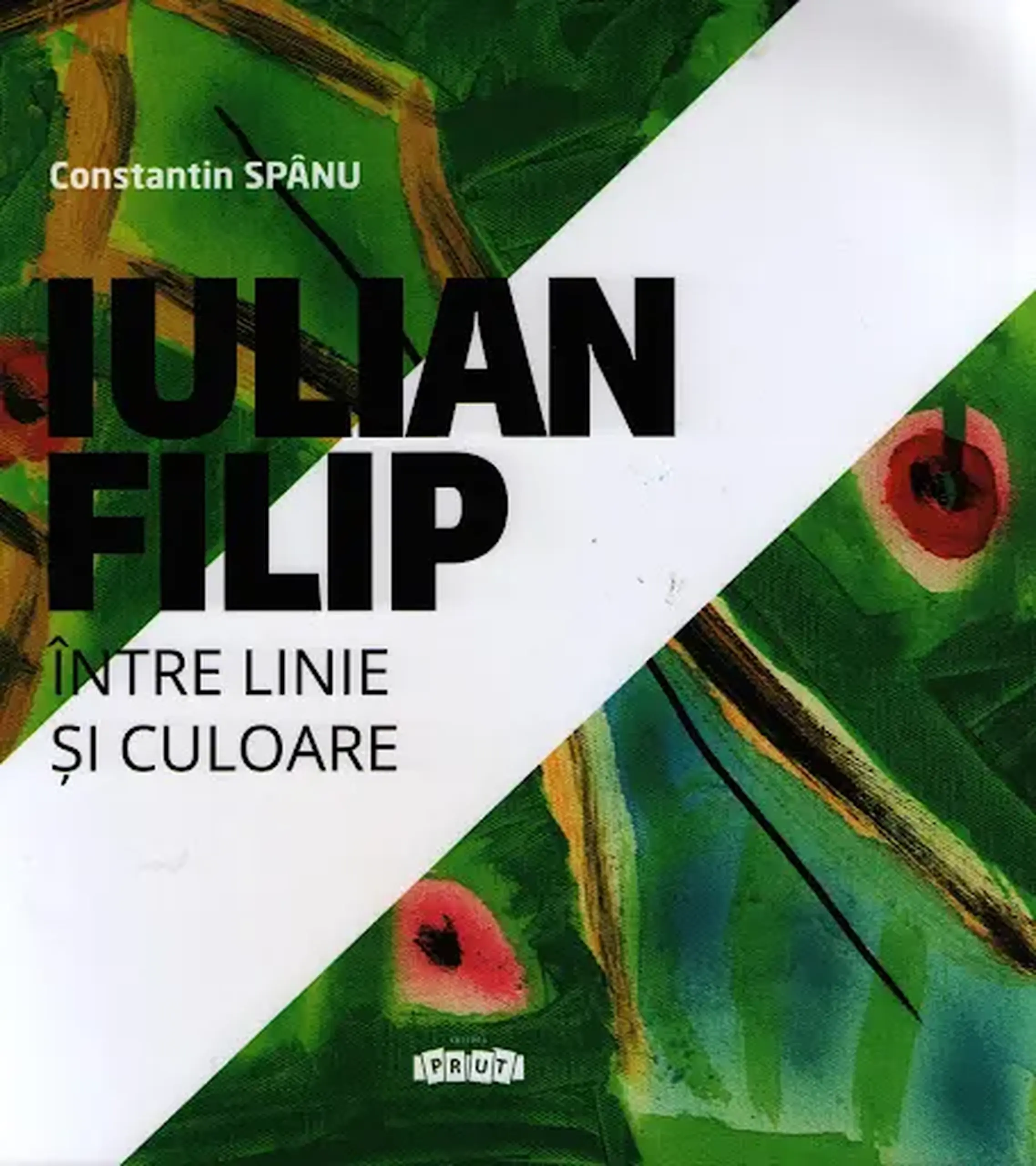 Iulian Filip. Intre linie si culoare | Constantin Spinu