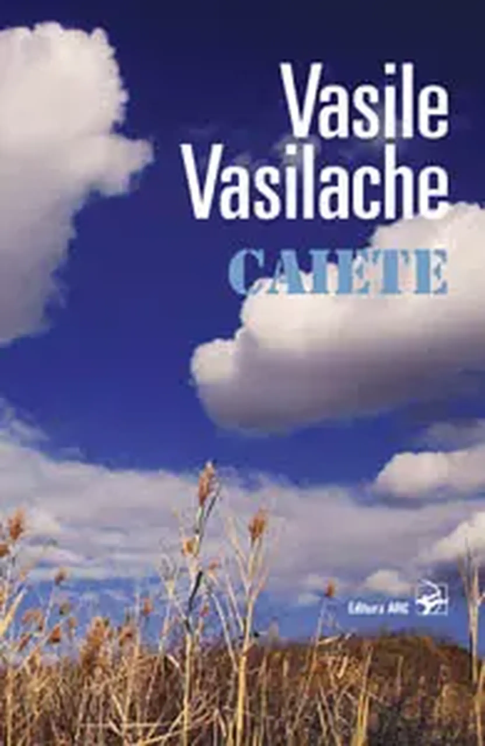 Vasile Vasilache. Caiete