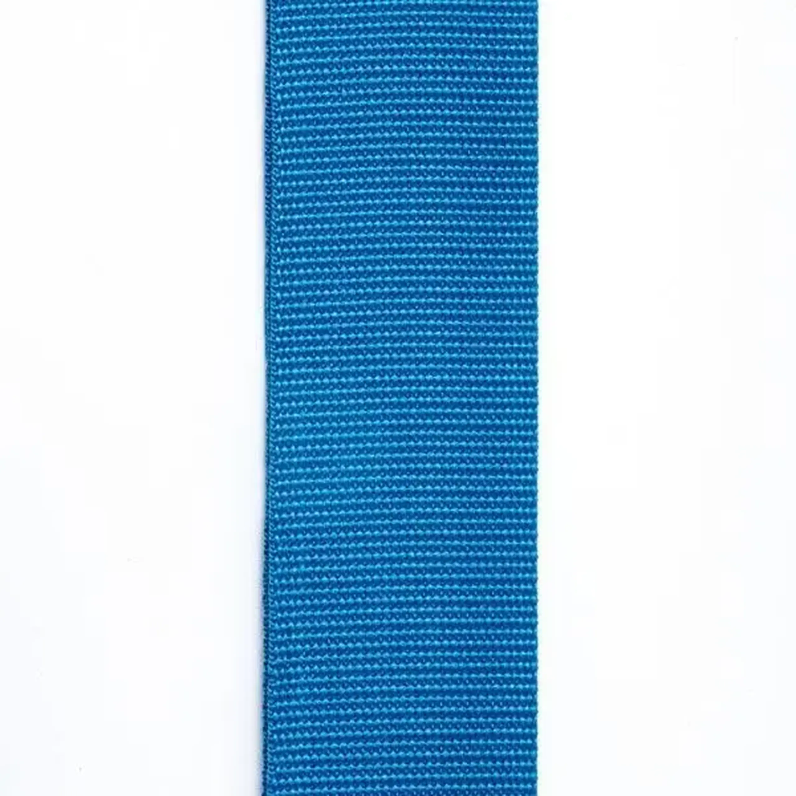 Curea Chitara Polipropilena D'Addario PWS102