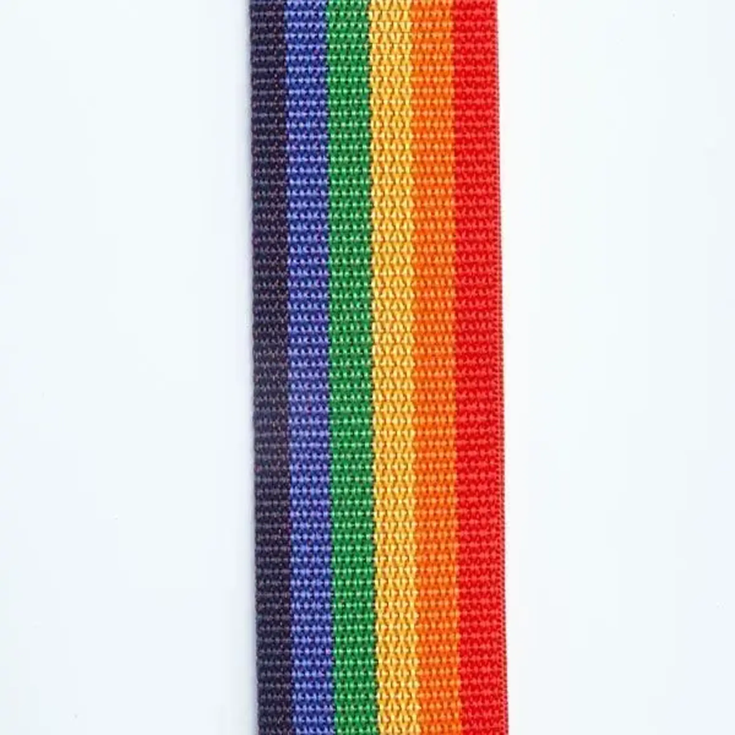 Curea Chitara Polipropilena D'Addario PWS111