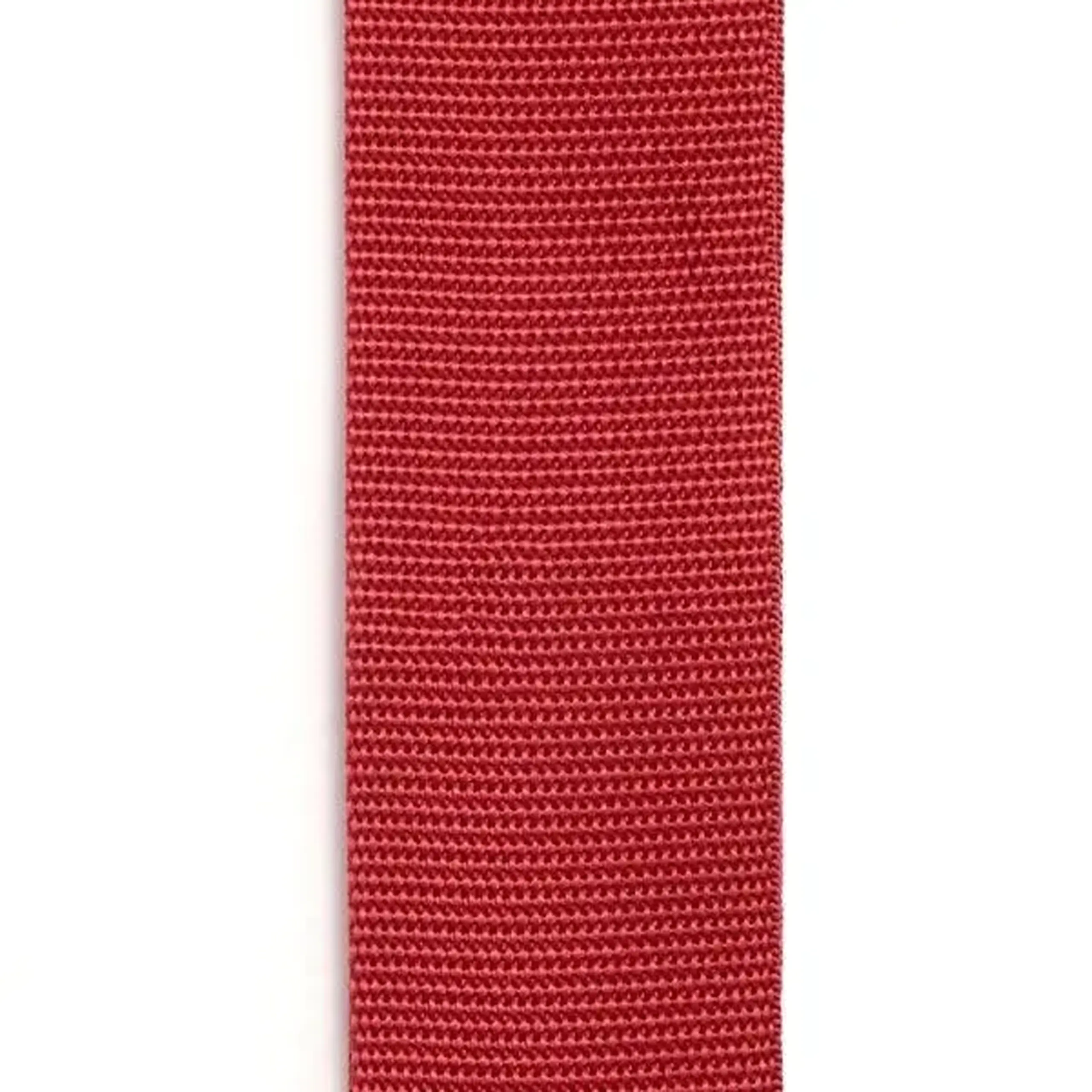 Curea Chitara Polipropilena D'Addario PWS101