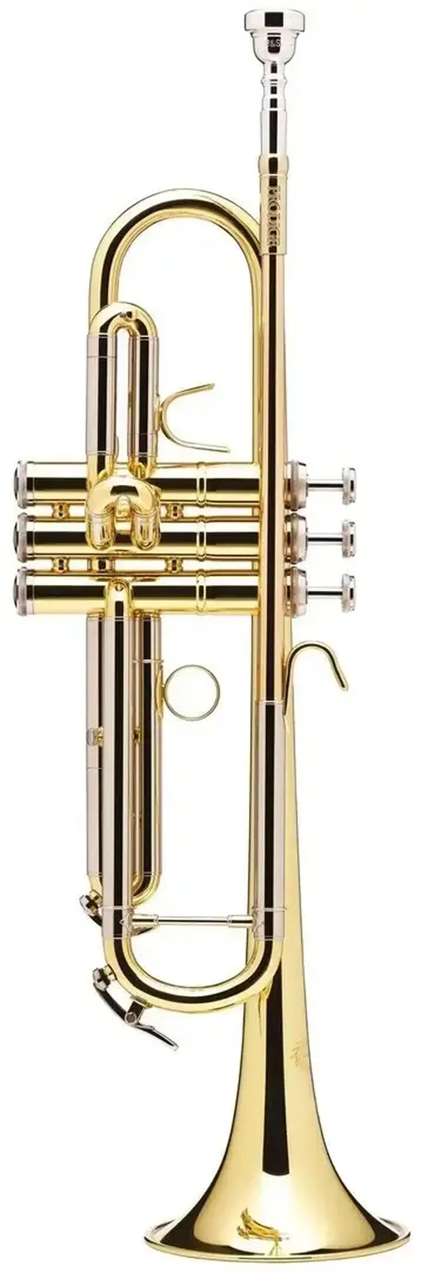 B&S Prodige BS210-1-0 cu husă