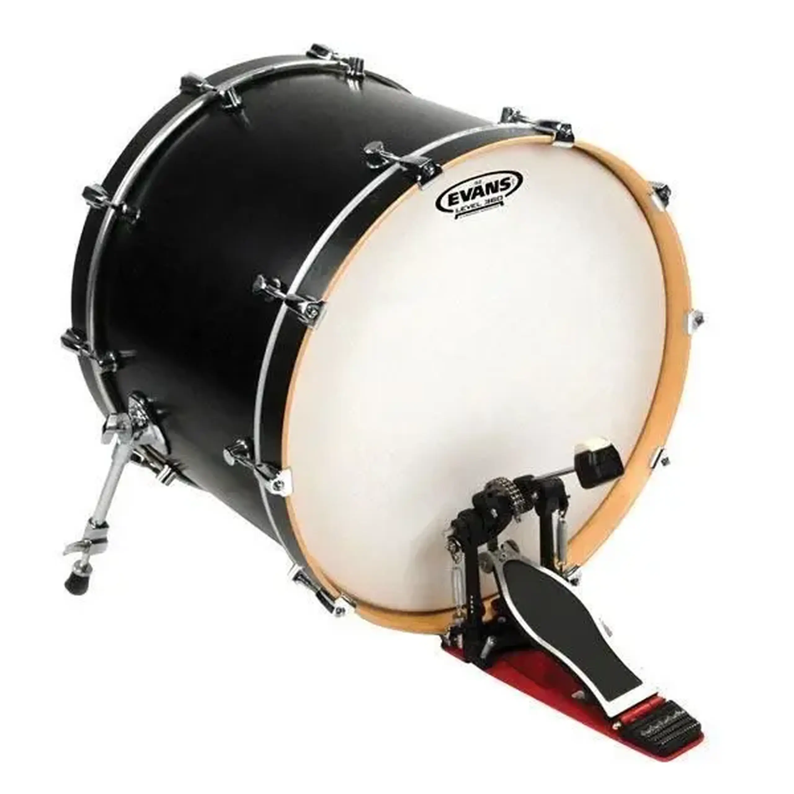 G2 Coated 20" Evans BD22G2CW
