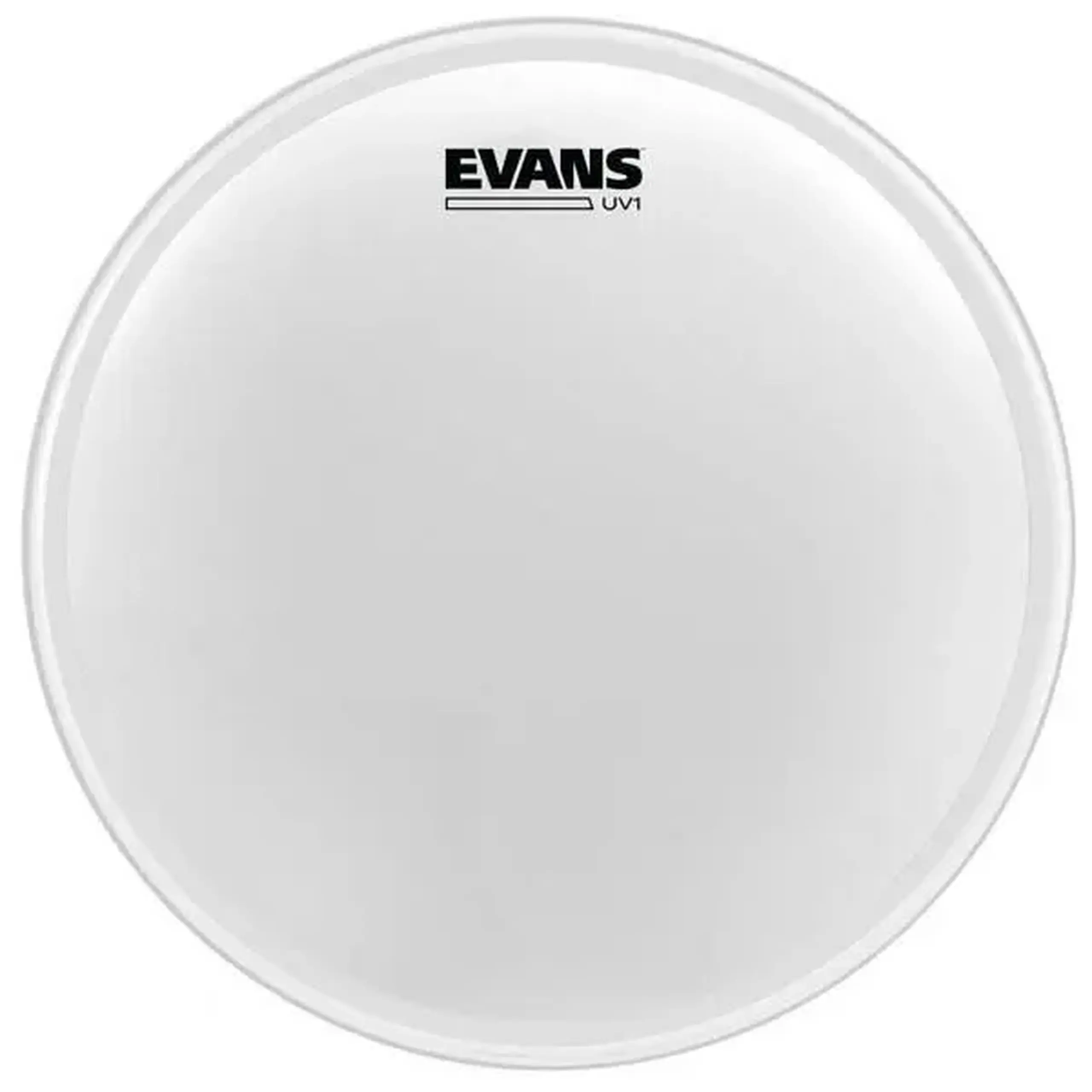 UV1 Coated 22" Evans BD22UV1