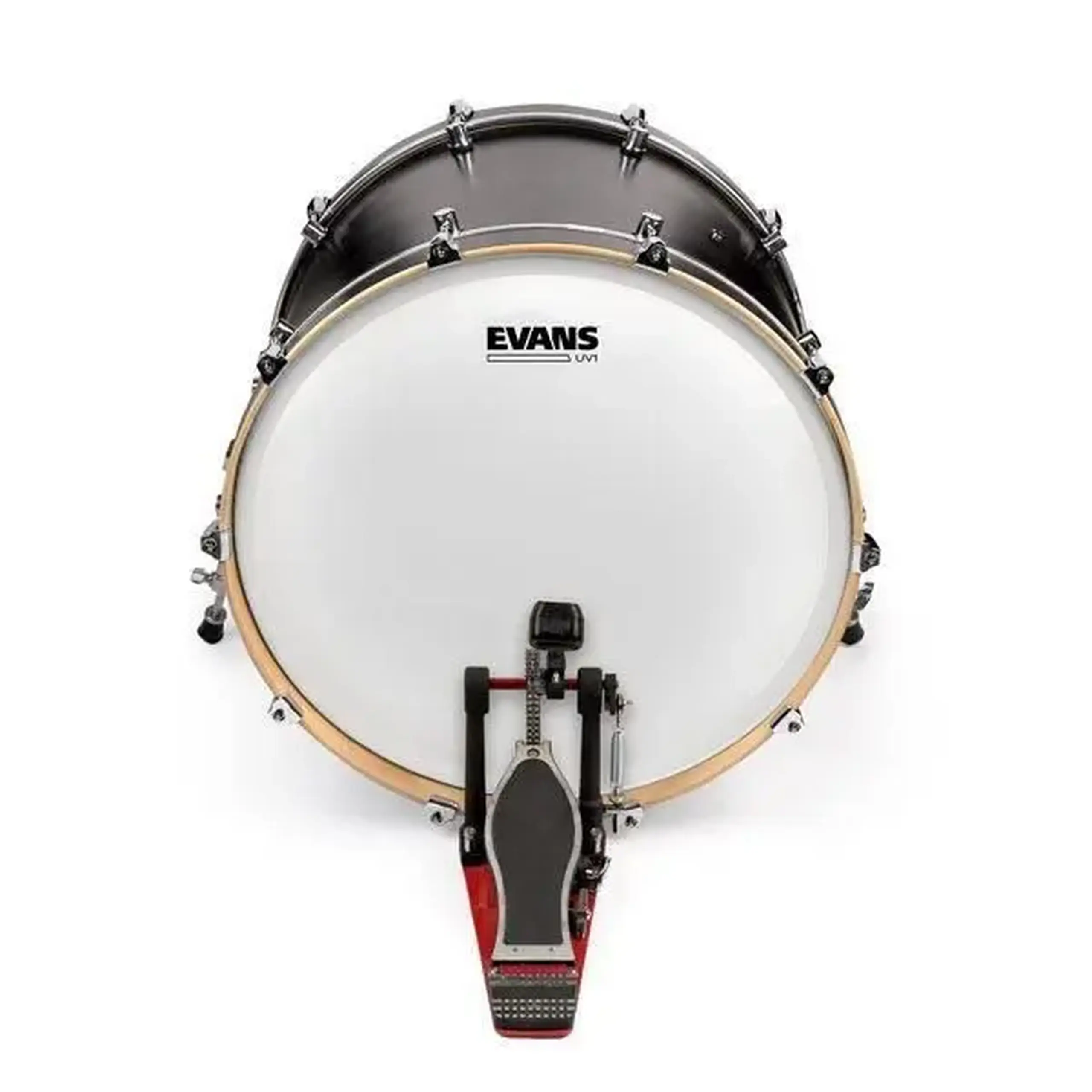 UV1 Coated 22" Evans BD22UV1