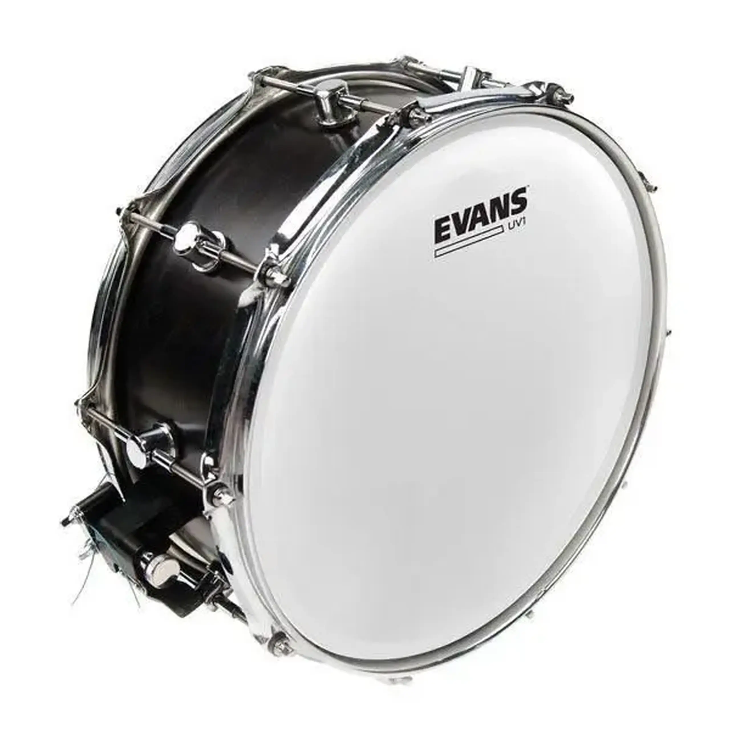 UV1 Coated 13" Evans B13UV1