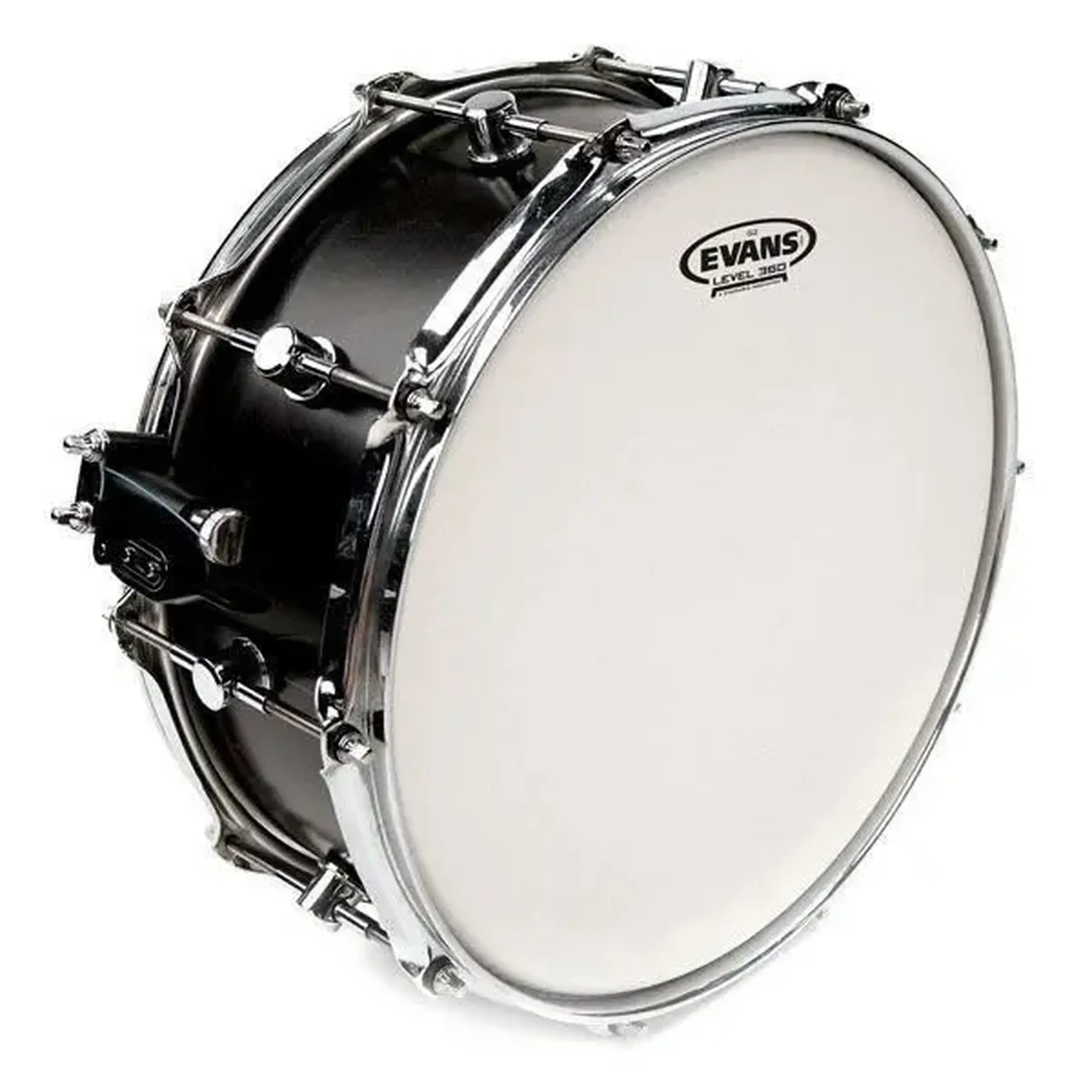 G2 Coated 14" Evans B14G2