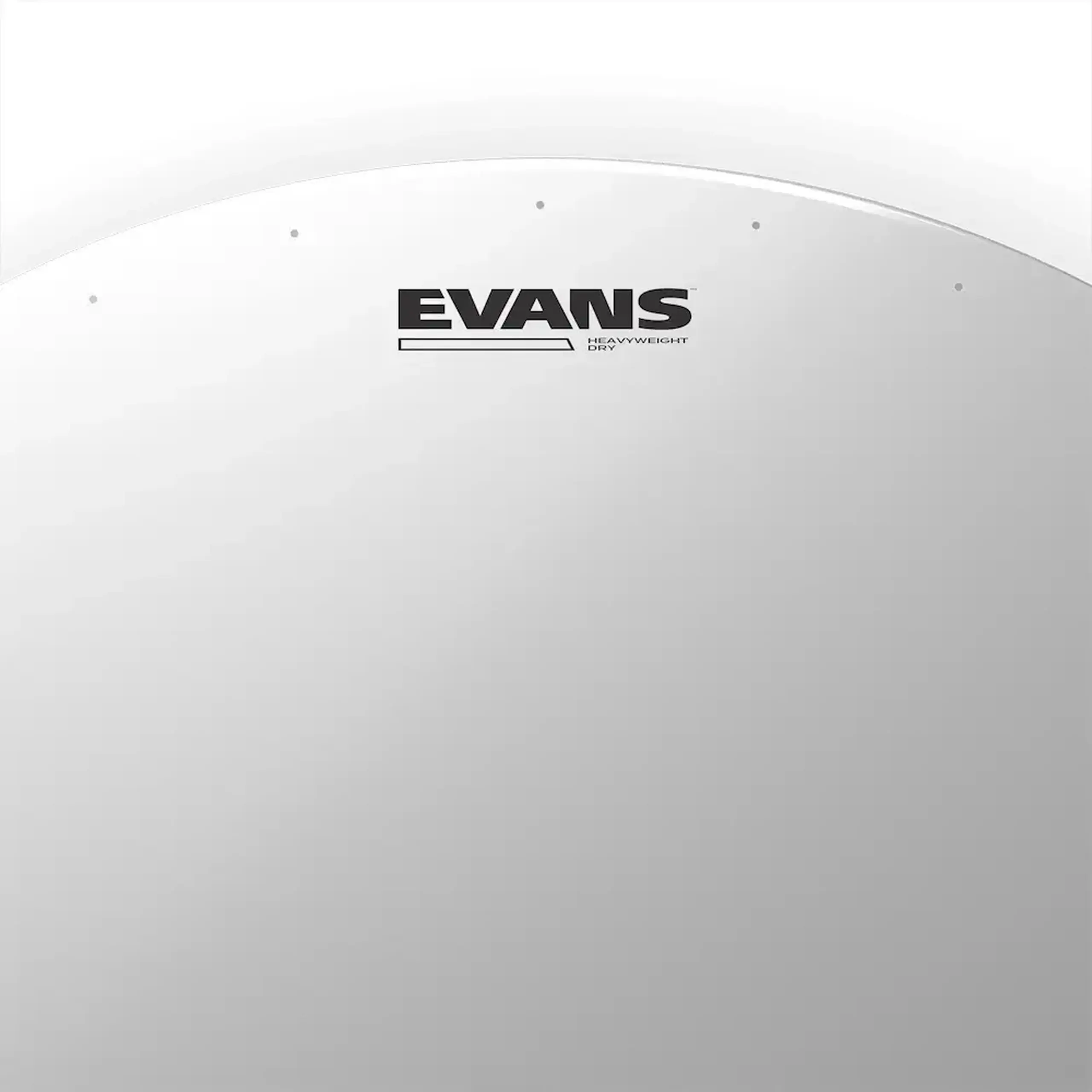 Evans 14" B14HWD Heavyweight Dry