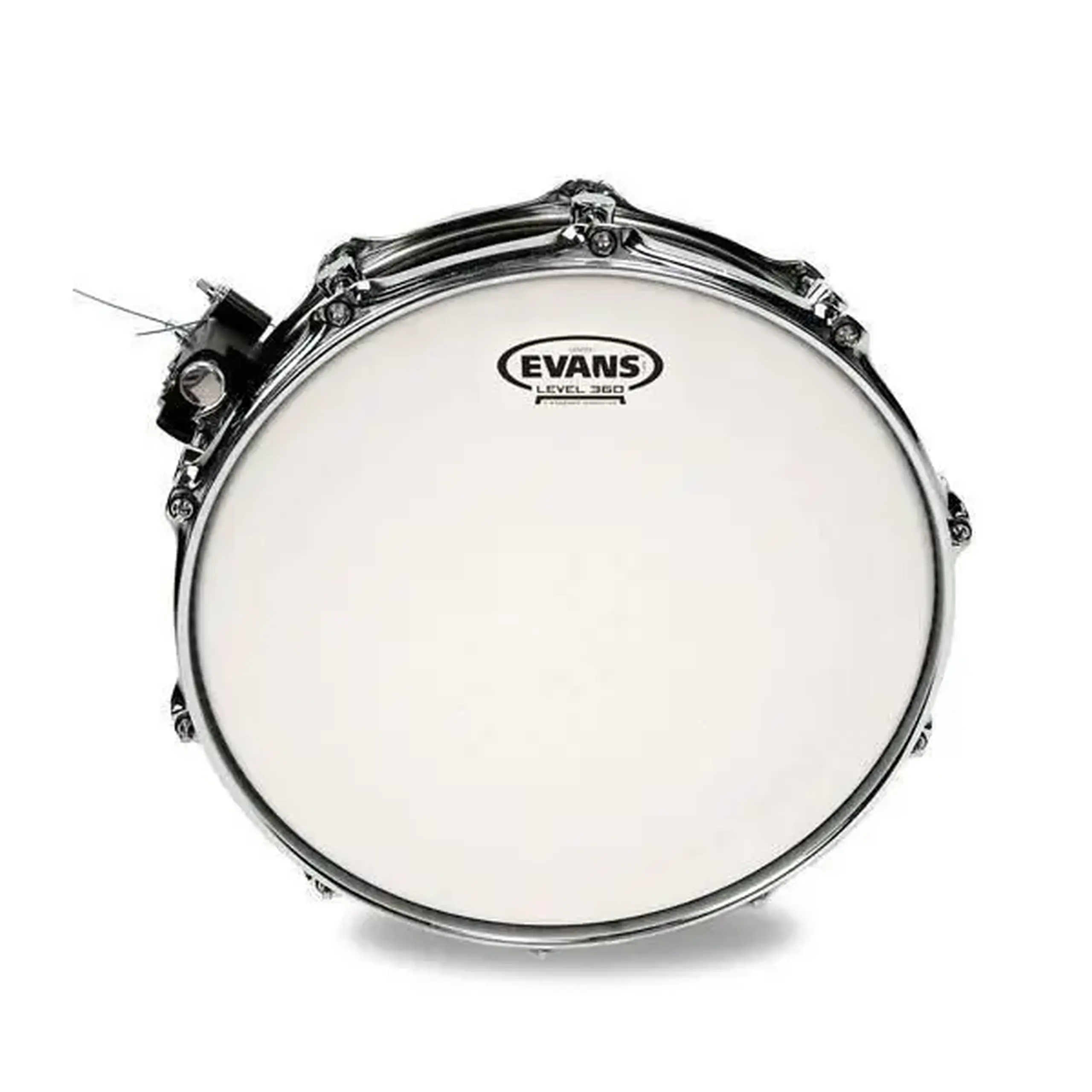Fata De Toba Evans B14HDD 14"