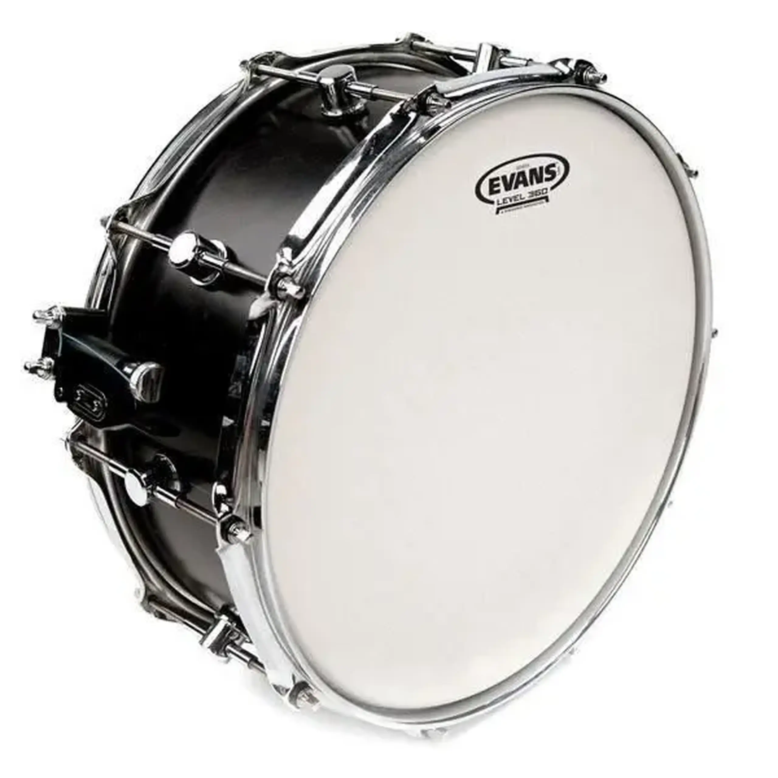 Fata De Toba Evans B14HD 14"