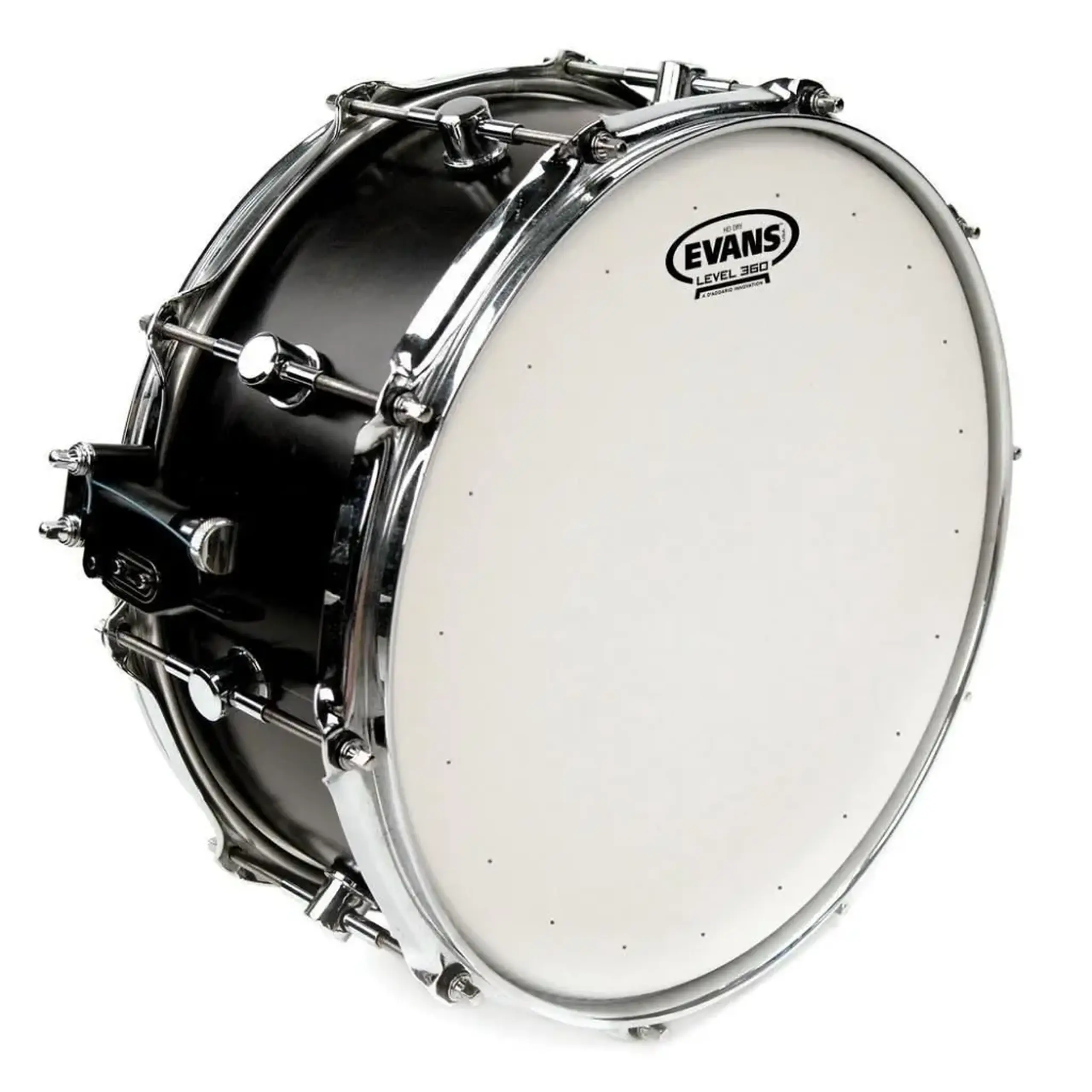 Fata De Toba Evans B12G2 12"