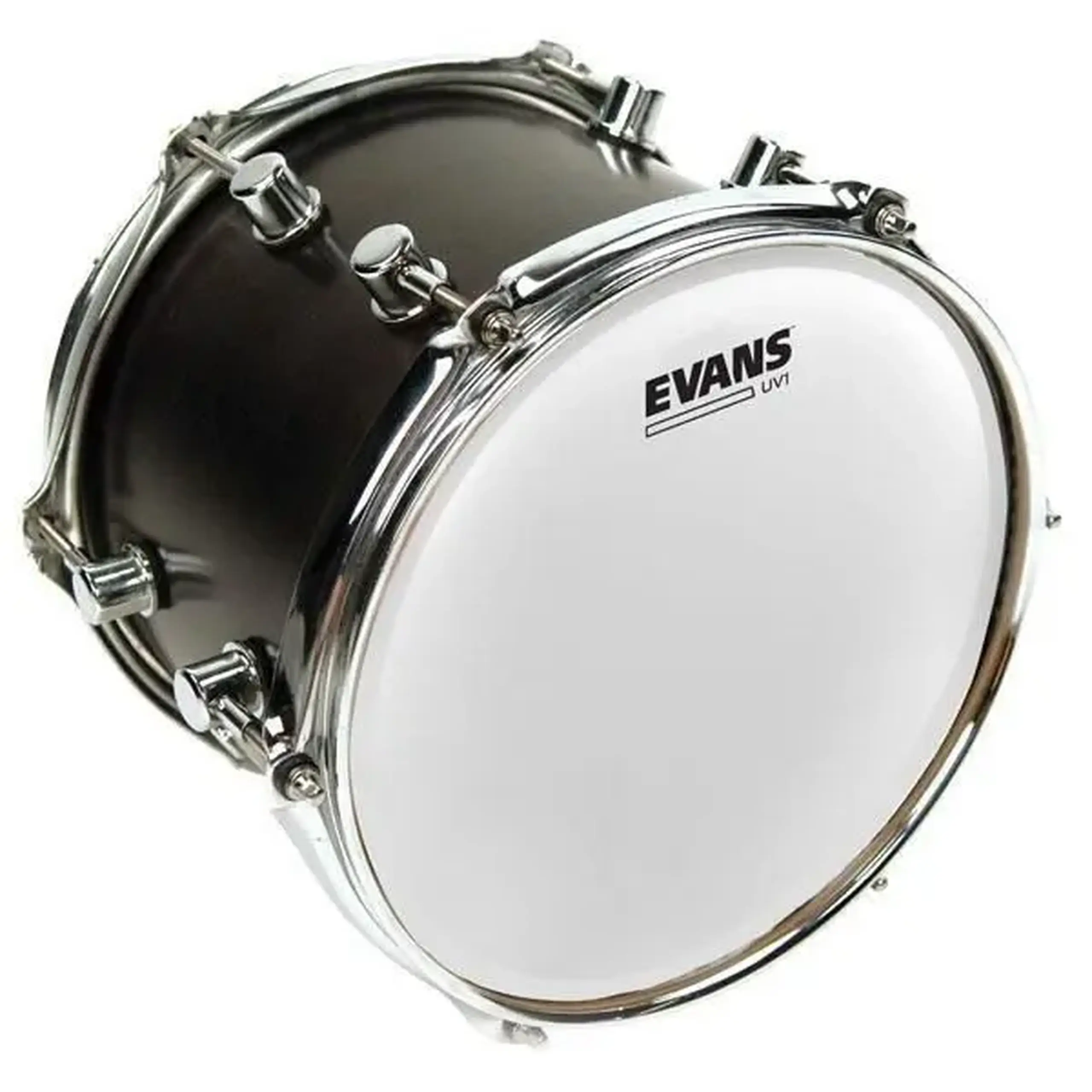 UV1 Coated 16" Evans B16UV1