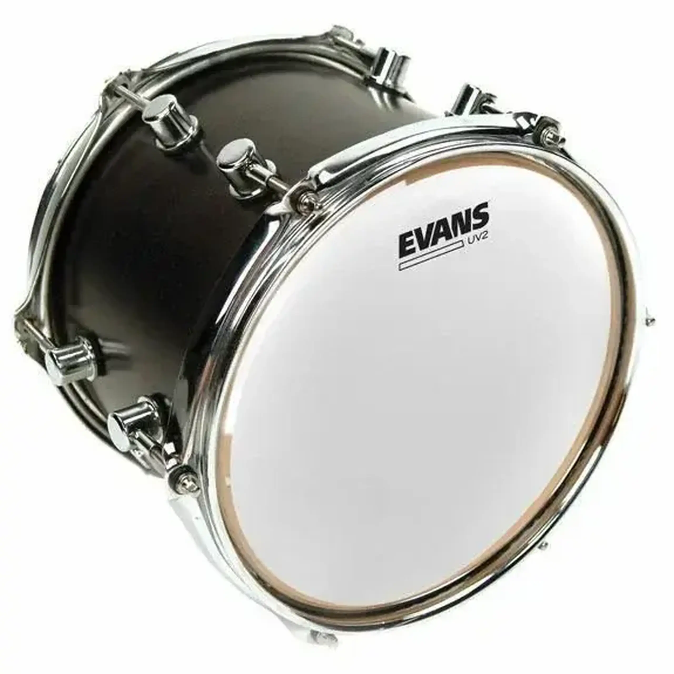 Evans 16" B16UV2 UV2 Coated
