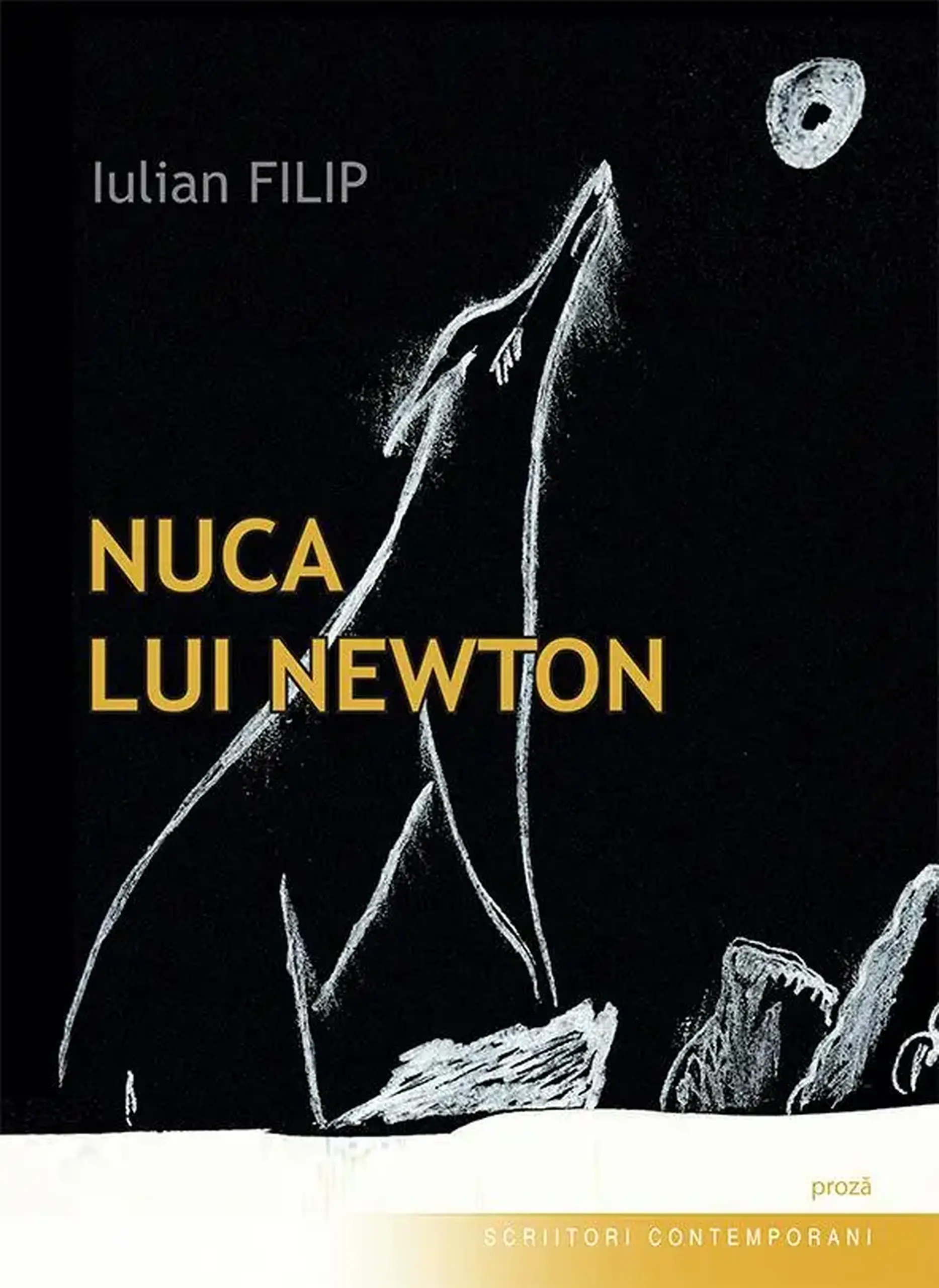 Scriitori contemporani. Nuca lui Newton | Iulian Filip