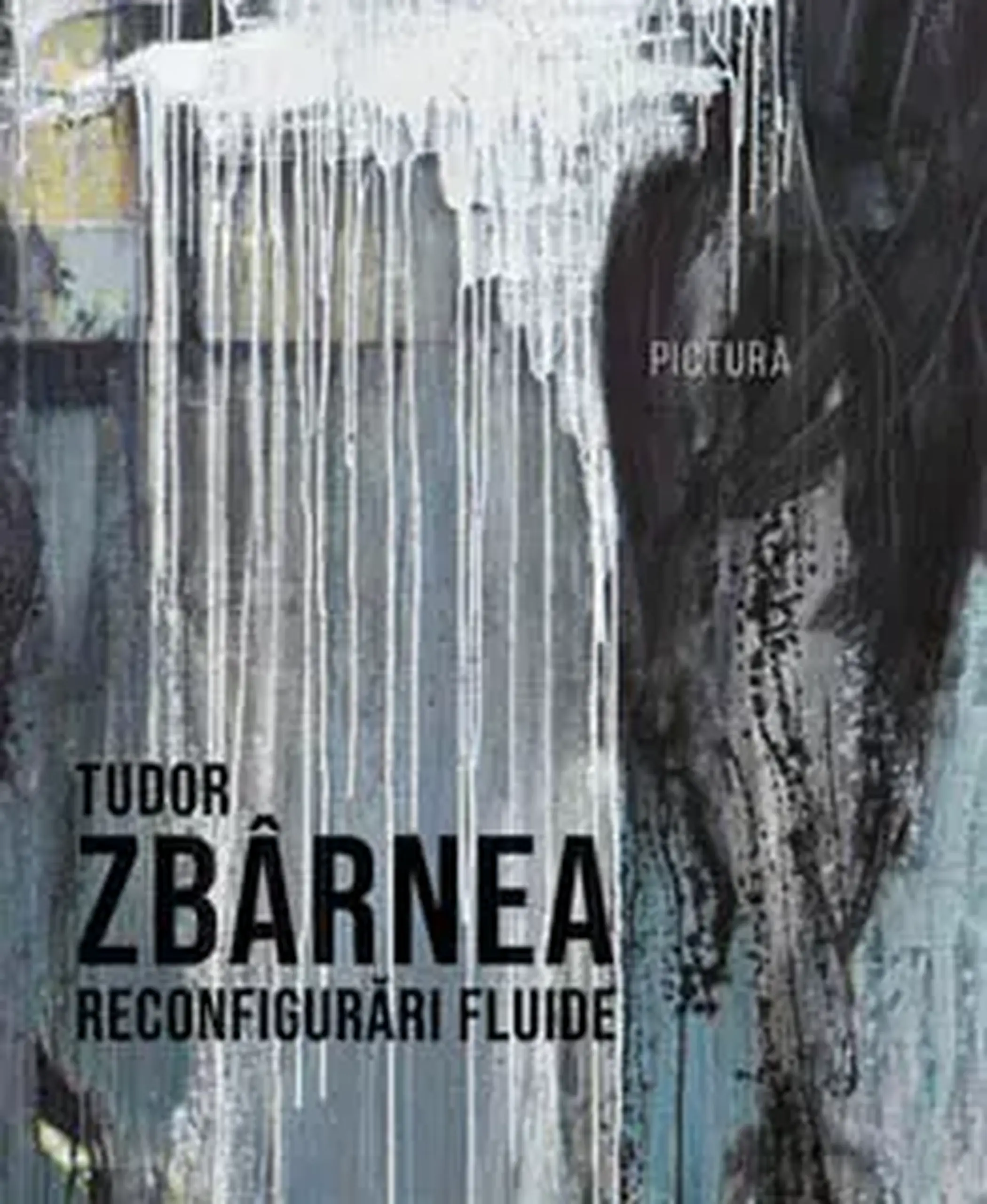 Reconfigurari fluide. Pictura | Tudor Zbarnea